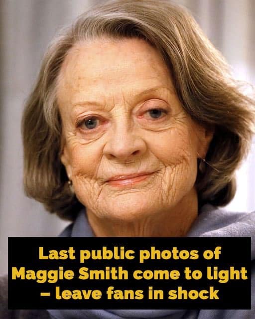 Maggie Smith’s last public sighting left her fans shocked